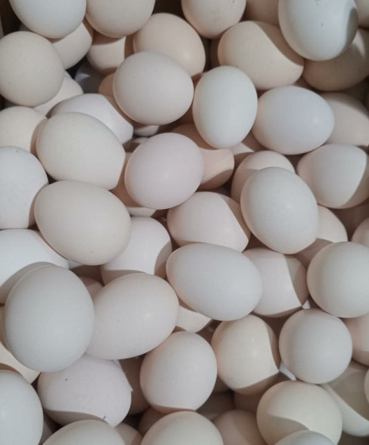 Fresh Organic Eggs (Tray of 15)