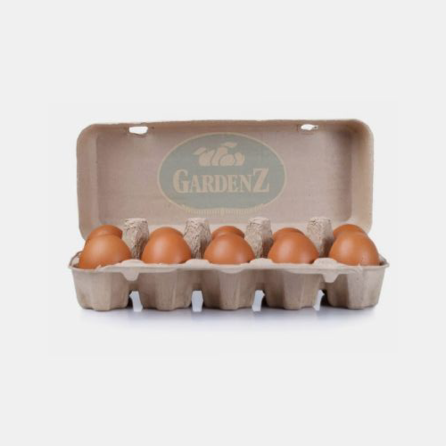 Fresh Organic Eggs (Tray of 10)